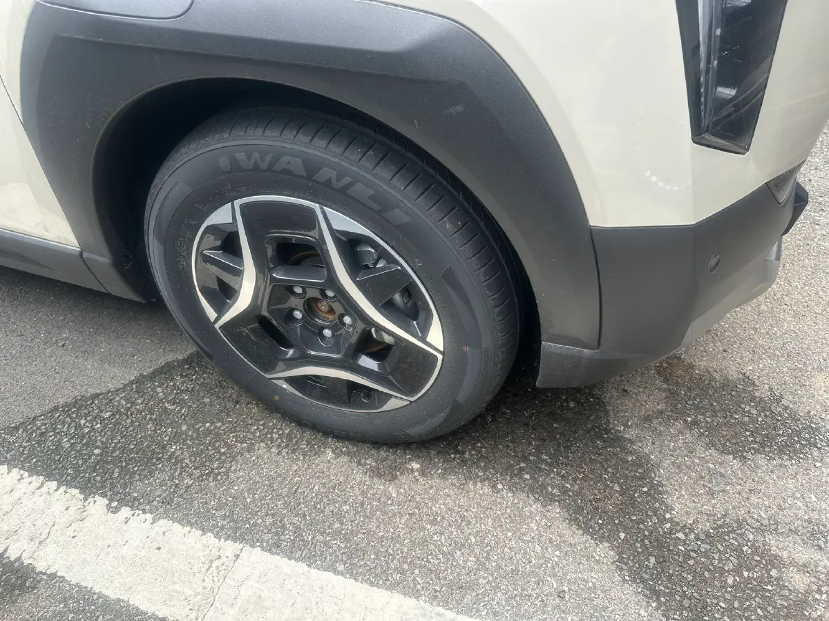 2025 DongFeng Nammi 06 BEV,autocango,china used car exporter,china ev exporter,chinese used car exporter,chinese used ev exporter