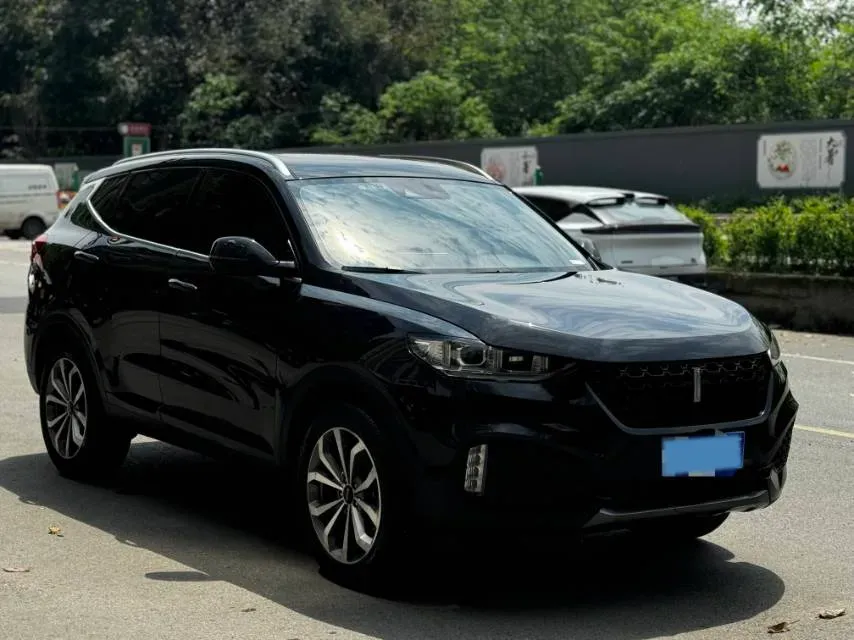 2019 WEY VV6 2.0T 224HP L4 7DCT,autocango,china used car exporter,china ev exporter,chinese used car exporter,chinese used ev exporter