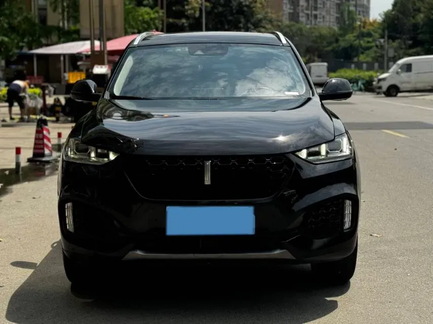 2019 WEY VV6 2.0T 224HP L4 7DCT,autocango,china used car exporter,china ev exporter,chinese used car exporter,chinese used ev exporter