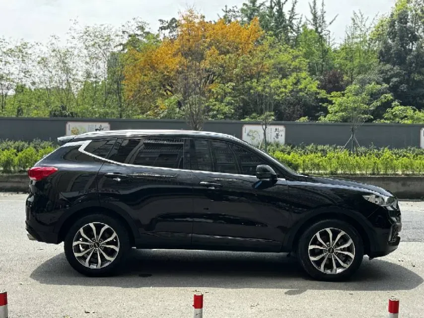 2019 WEY VV6 2.0T 224HP L4 7DCT,autocango,china used car exporter,china ev exporter,chinese used car exporter,chinese used ev exporter