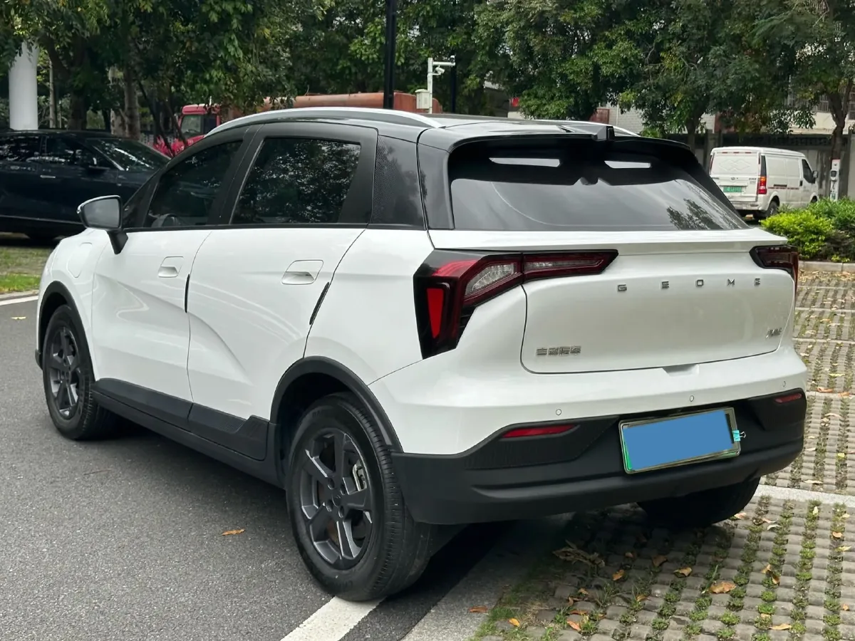 2023 Geometry E BEV 39.4KWH,autocango,china used car exporter,china ev exporter,chinese used car exporter,chinese used ev exporter