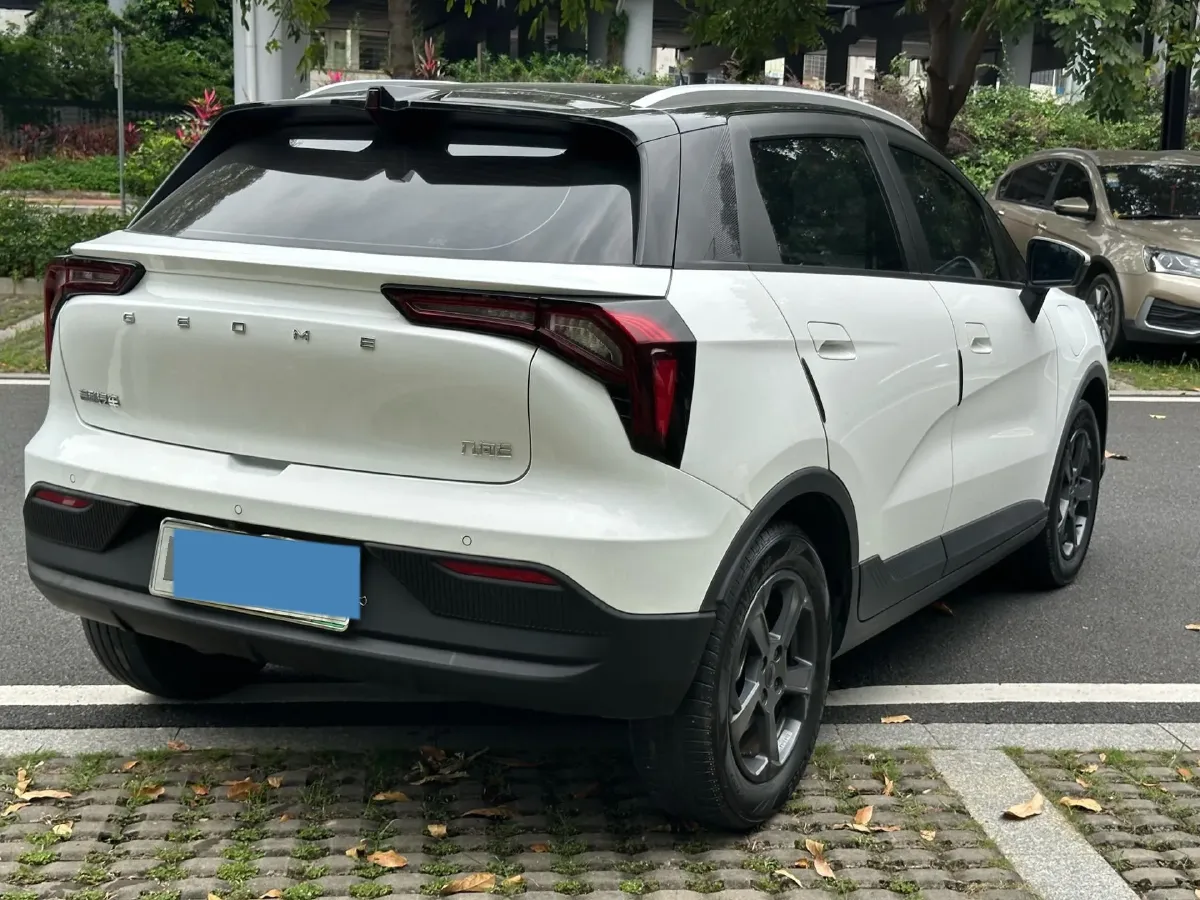 2023 Geometry E BEV 39.4KWH,autocango,china used car exporter,china ev exporter,chinese used car exporter,chinese used ev exporter