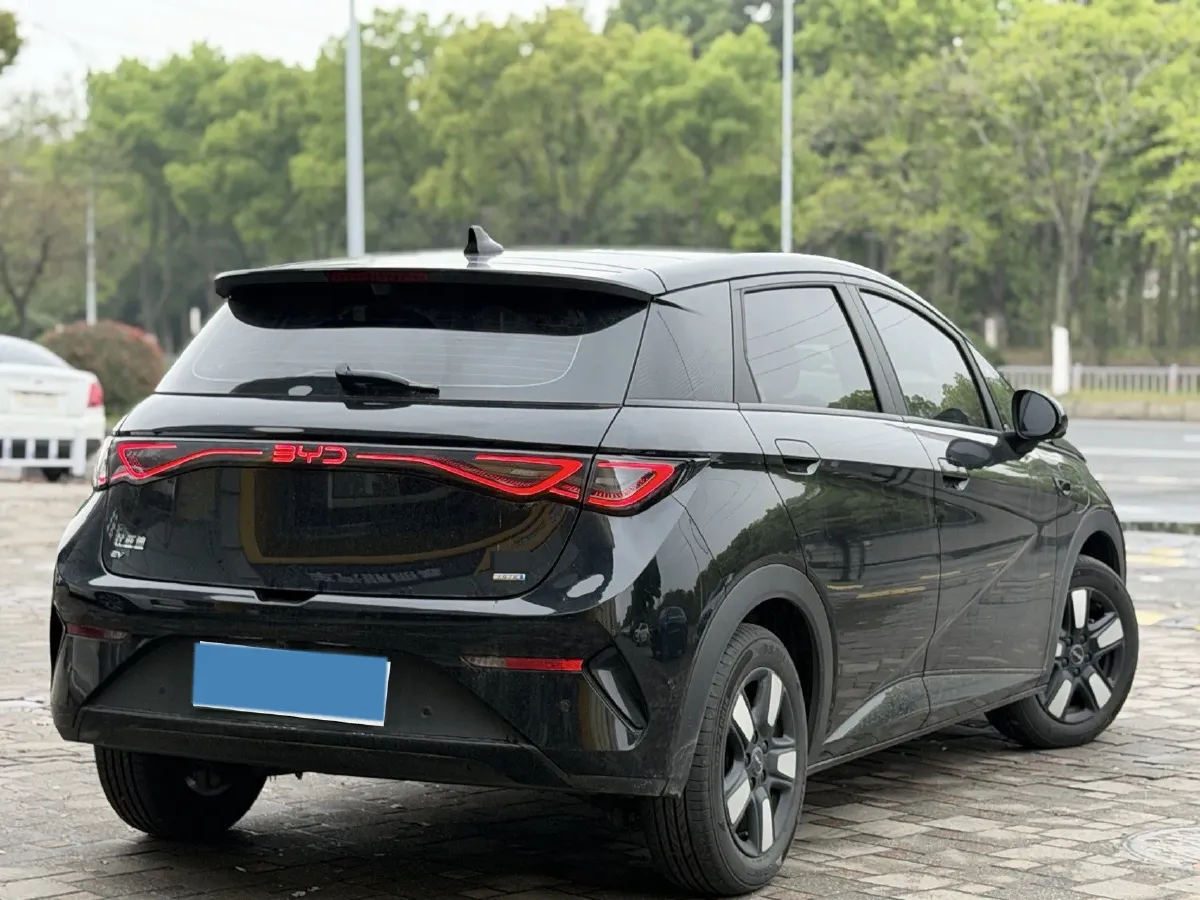 2025 BYD Dolphin BEV 45.12KWH,autocango,china used car exporter,china ev exporter,chinese used car exporter,chinese used ev exporter