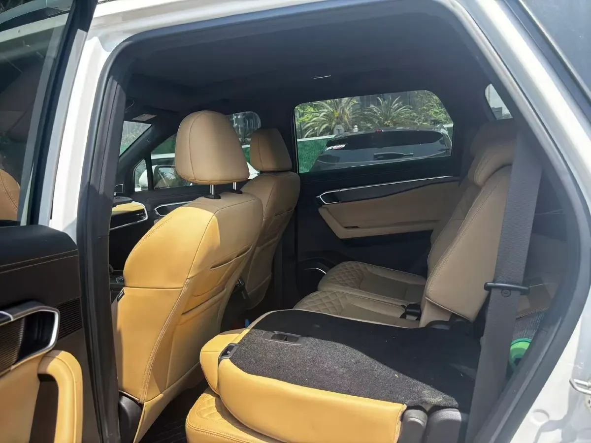 2023 Geely Okavango L 2.0T 218HP L4 7DCT,autocango,china used car exporter,china ev exporter,chinese used car exporter,chinese used ev exporter