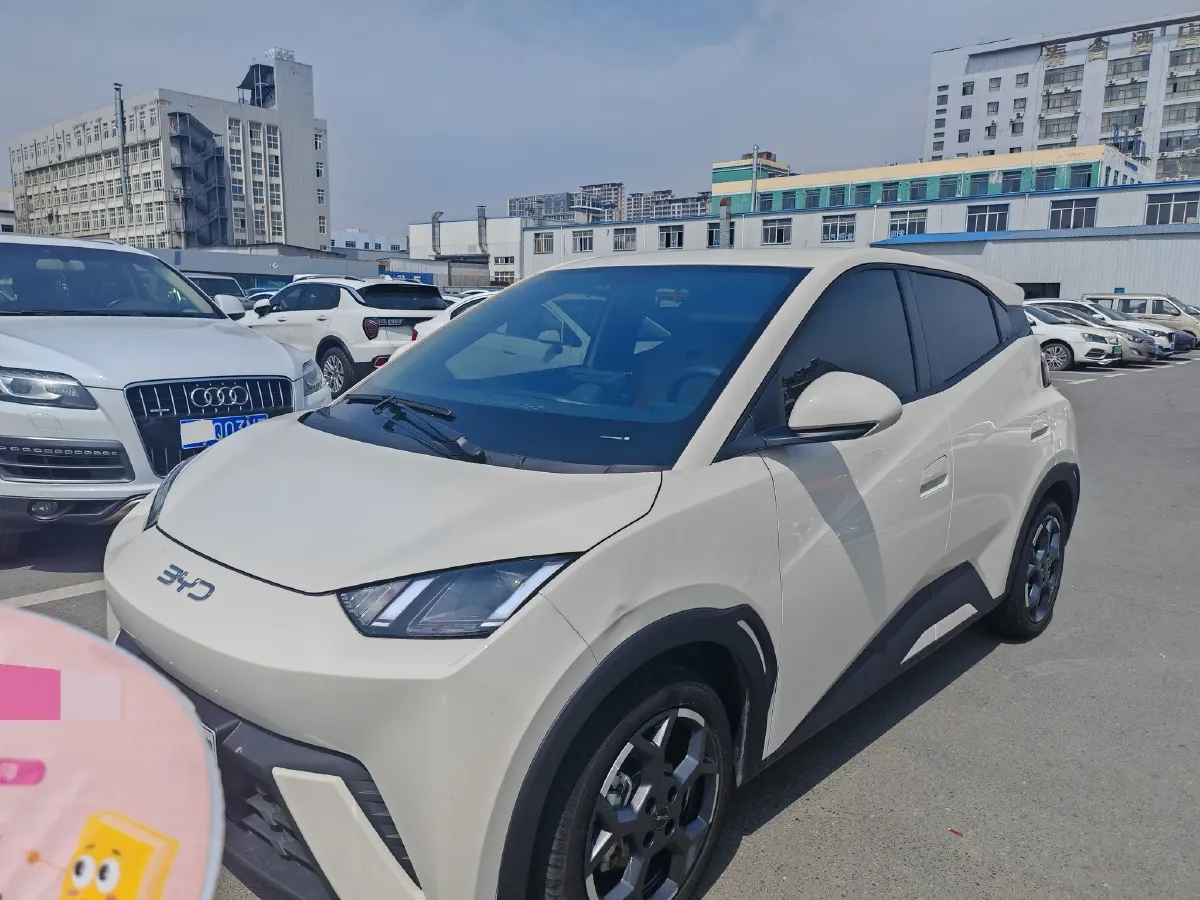 2024 BYD Seagull BEV 30.08KWH,autocango,china used car exporter,china ev exporter,chinese used car exporter,chinese used ev exporter