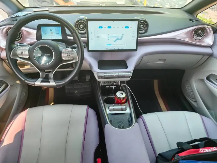 2021 BYD e2 BEV 43.2KWH,autocango,china used car exporter,china ev exporter,chinese used car exporter,chinese used ev exporter