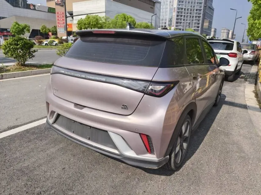 2021 BYD e2 BEV 43.2KWH,autocango,china used car exporter,china ev exporter,chinese used car exporter,chinese used ev exporter