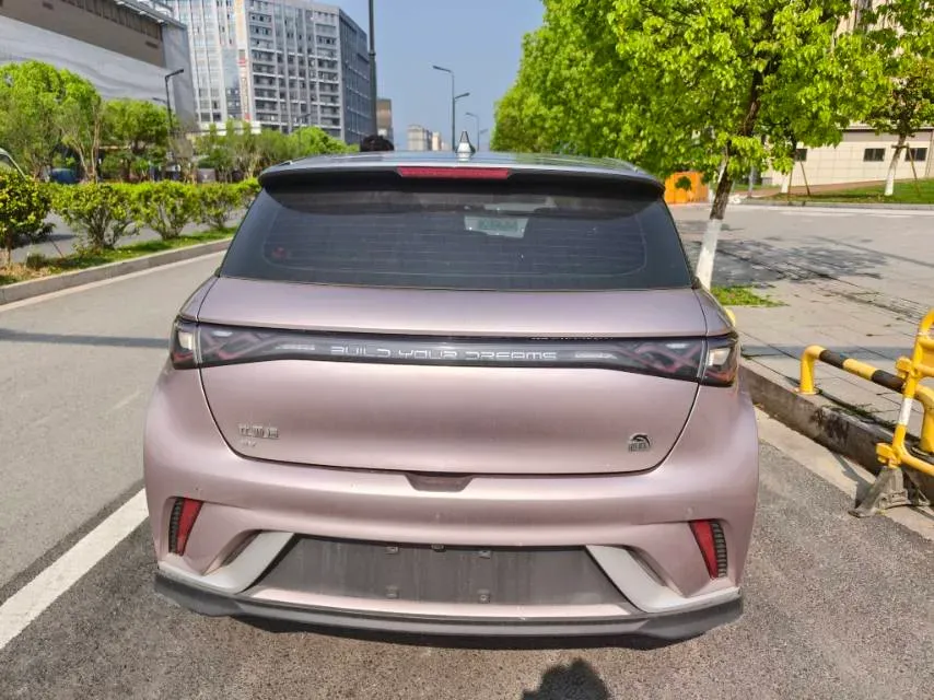 2021 BYD e2 BEV 43.2KWH,autocango,china used car exporter,china ev exporter,chinese used car exporter,chinese used ev exporter