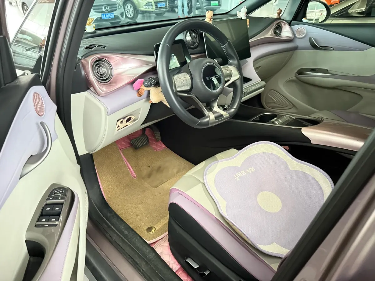 2021 BYD e2 BEV 43.2KWH,autocango,china used car exporter,china ev exporter,chinese used car exporter,chinese used ev exporter