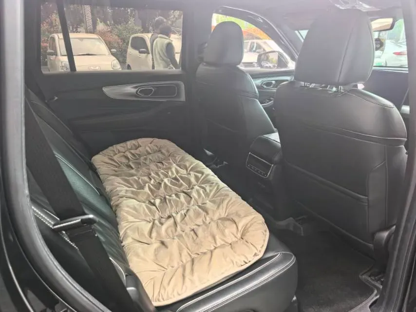 2022 GAC Trumpchi GS8 2.0T 252HP L4 8AT,autocango,china used car exporter,china ev exporter,chinese used car exporter,chinese used ev exporter