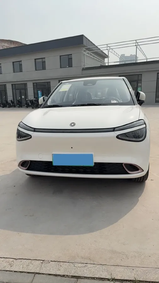 2025 DongFeng Nammi 01 BEV,autocango,china used car exporter,china ev exporter,chinese used car exporter,chinese used ev exporter