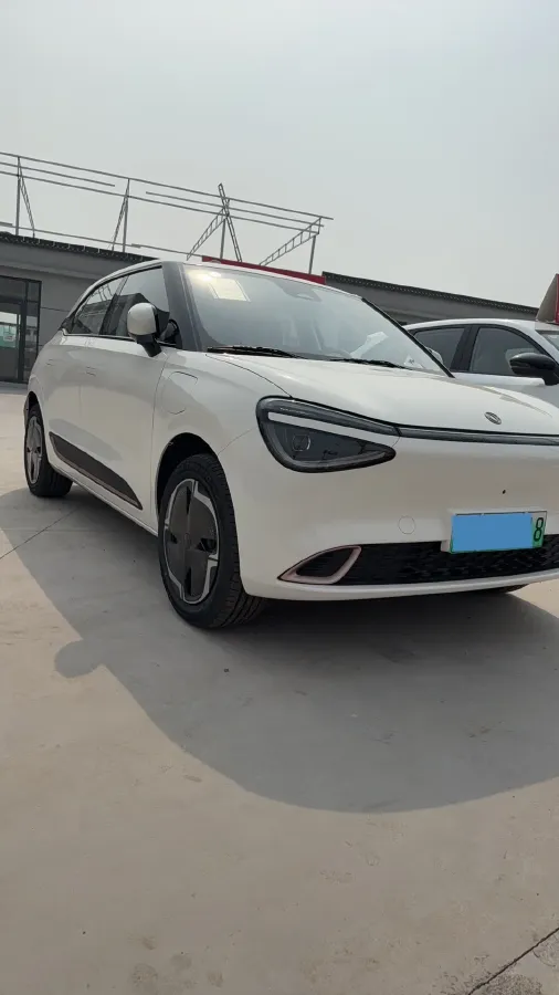 2025 DongFeng Nammi 01 BEV,autocango,china used car exporter,china ev exporter,chinese used car exporter,chinese used ev exporter