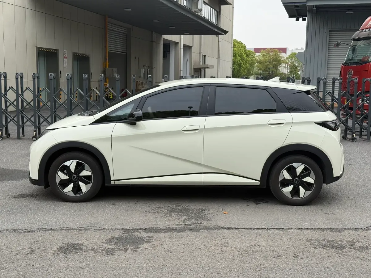 2025 BYD Dolphin BEV 44.928KWH,autocango,china used car exporter,china ev exporter,chinese used car exporter,chinese used ev exporter