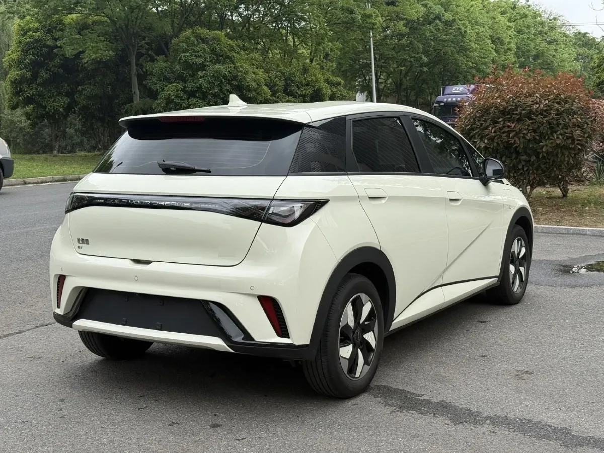 2025 BYD Dolphin BEV 44.928KWH,autocango,china used car exporter,china ev exporter,chinese used car exporter,chinese used ev exporter