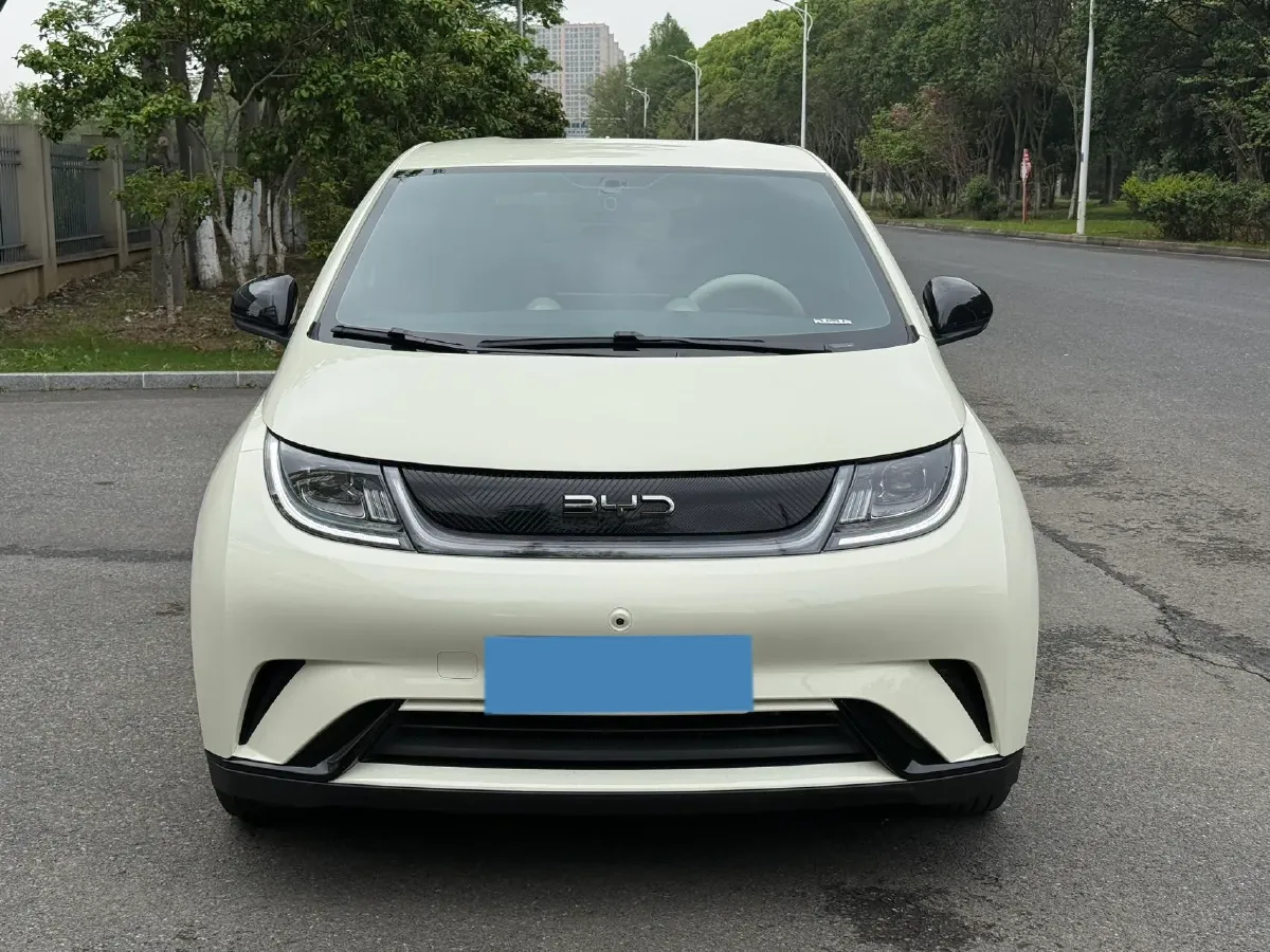 2025 BYD Dolphin BEV 44.928KWH,autocango,china used car exporter,china ev exporter,chinese used car exporter,chinese used ev exporter