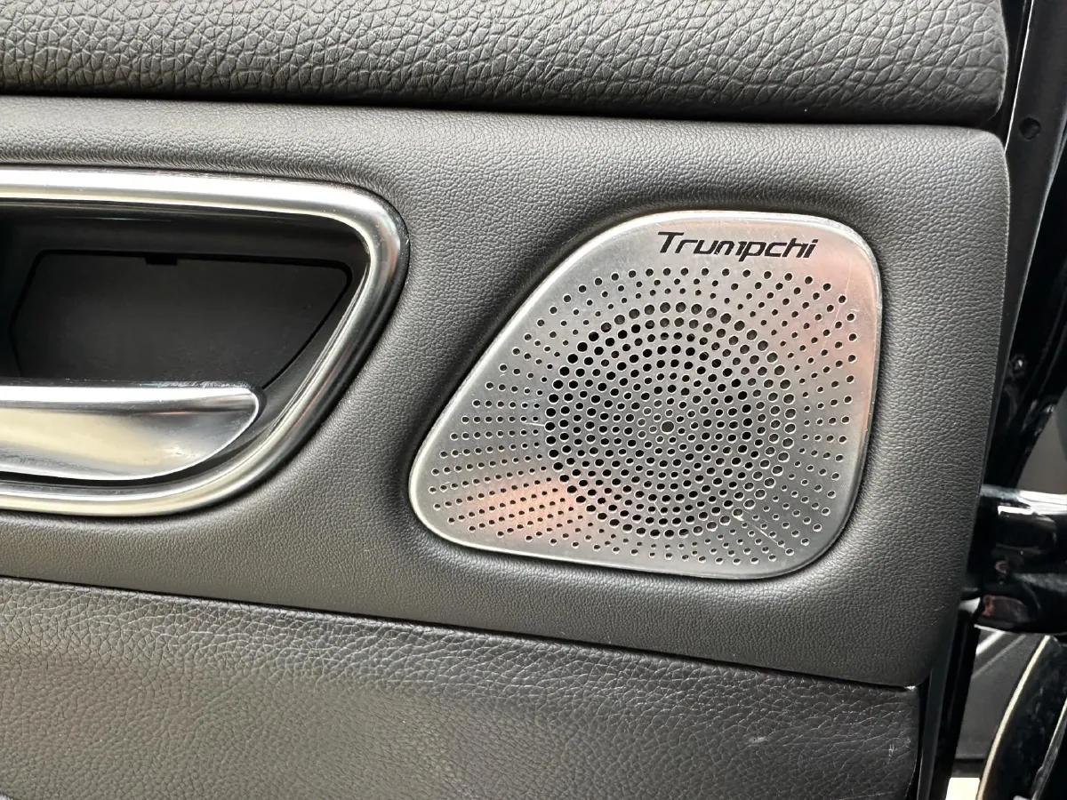 2020 GAC Trumpchi GS8 2.0T 252HP L4 6AT,autocango,china used car exporter,china ev exporter,chinese used car exporter,chinese used ev exporter