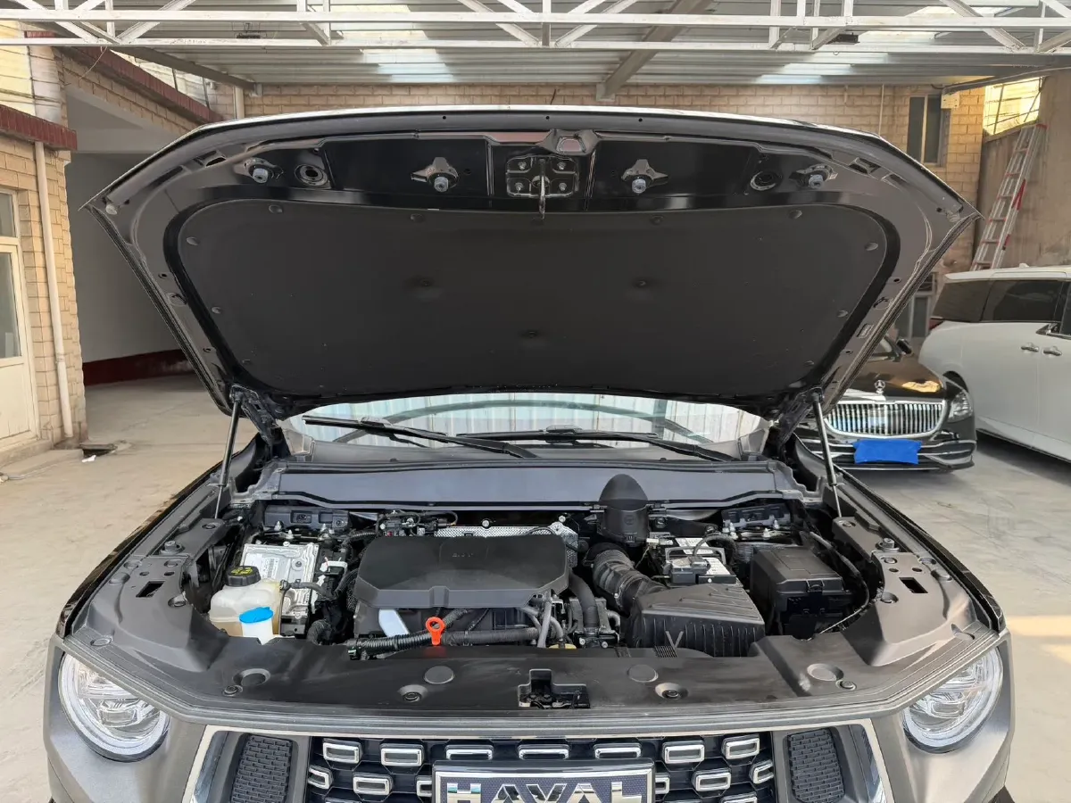 2023 Haval Dargo PLUS 2.0T 238HP L4 9DCT,autocango,china used car exporter,china ev exporter,chinese used car exporter,chinese used ev exporter