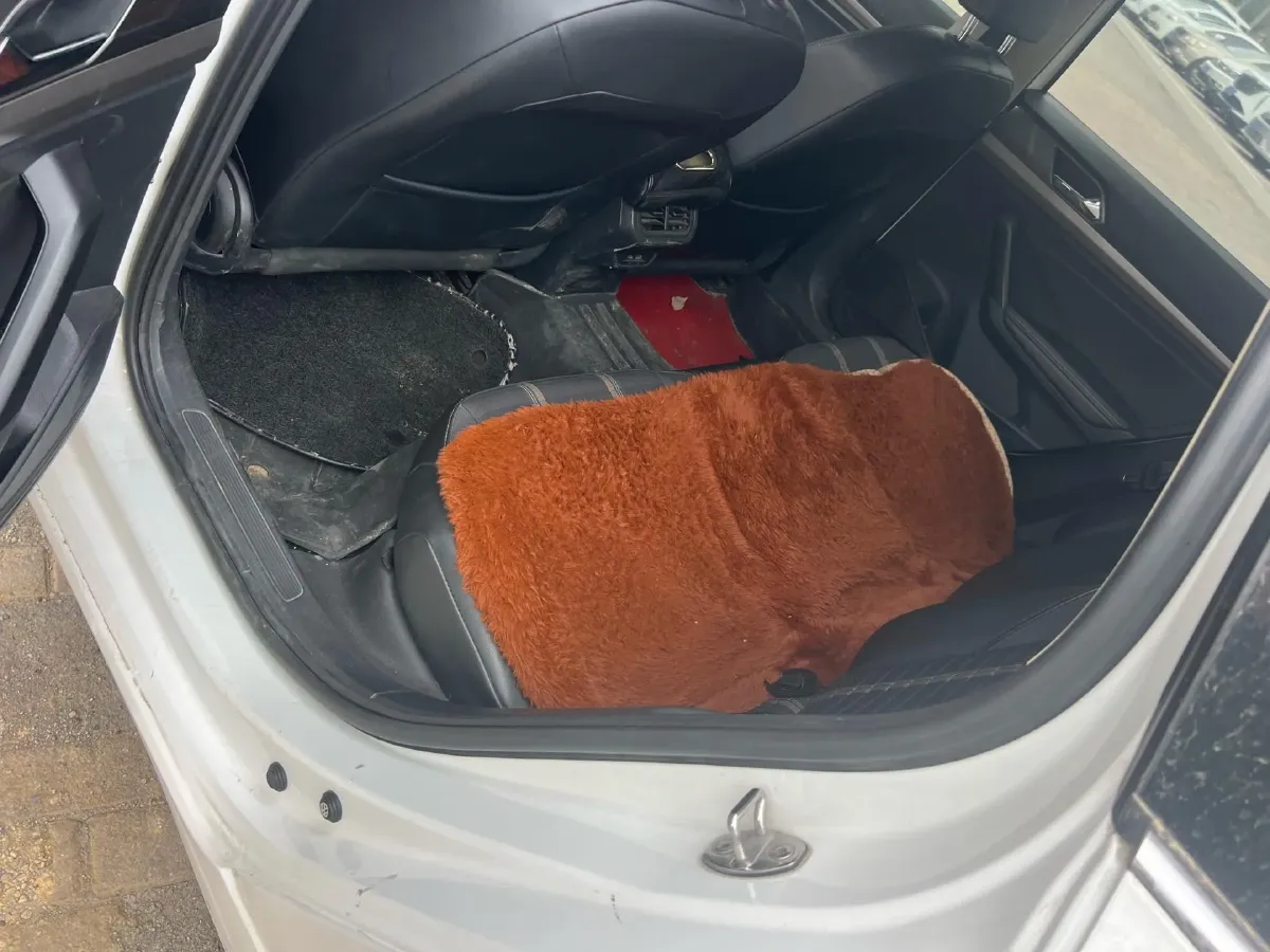 2021 Volkswagen Lavida 1.5L 113HP L4 6AT,autocango,china used car exporter,china ev exporter,chinese used car exporter,chinese used ev exporter