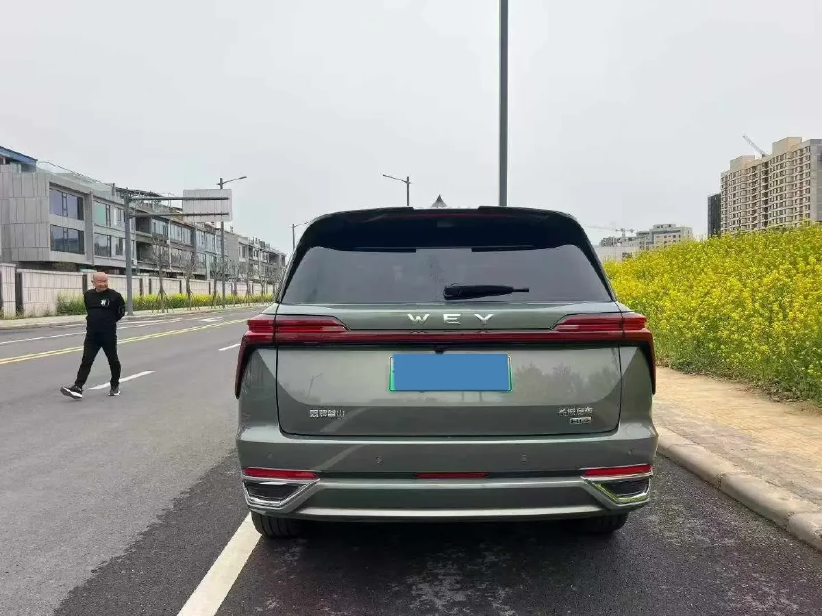2025 WEY BlueMountain 1.5T 170HP L4 4DHT PHEV 52.3KWH,autocango,china used car exporter,china ev exporter,chinese used car exporter,chinese used ev exporter