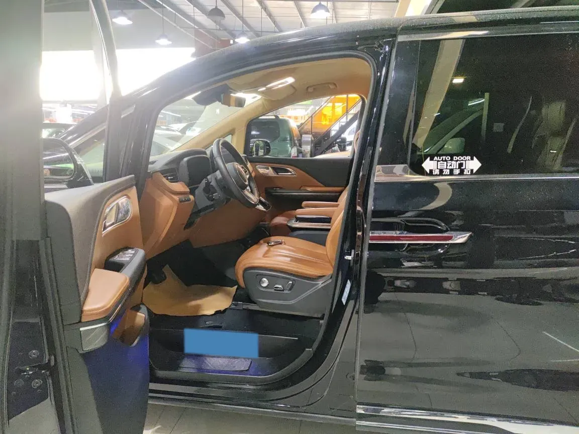 2023 HongQi HQ9 2.0T 252HP L4 8AT,autocango,china used car exporter,china ev exporter,chinese used car exporter,chinese used ev exporter
