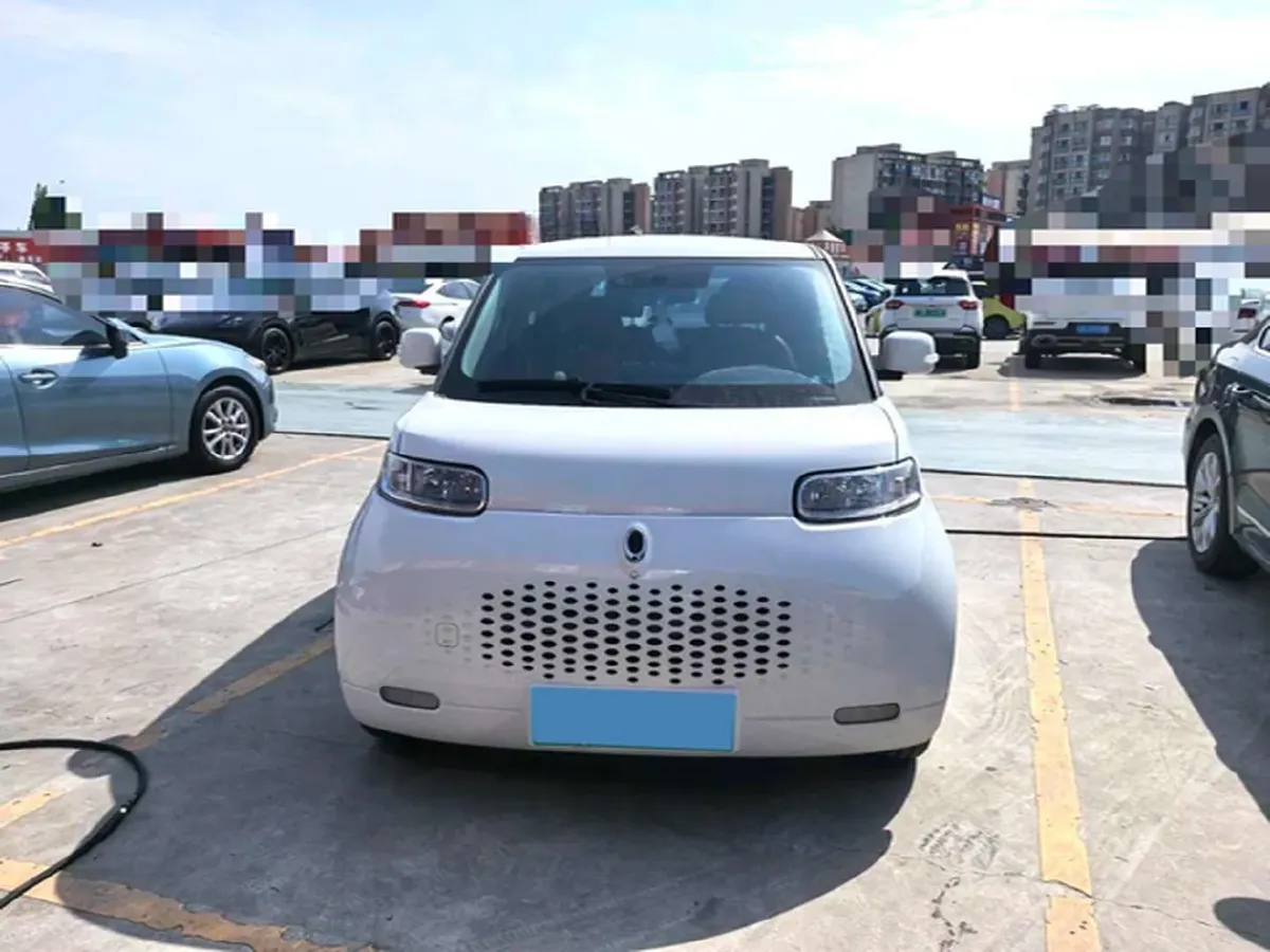2020 Ora WhiteCat BEV 29.4KWH,autocango,china used car exporter,china ev exporter,chinese used car exporter,chinese used ev exporter