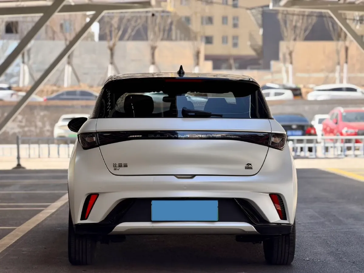 2023 BYD Dolphin BEV 44.928KWH,autocango,china used car exporter,china ev exporter,chinese used car exporter,chinese used ev exporter