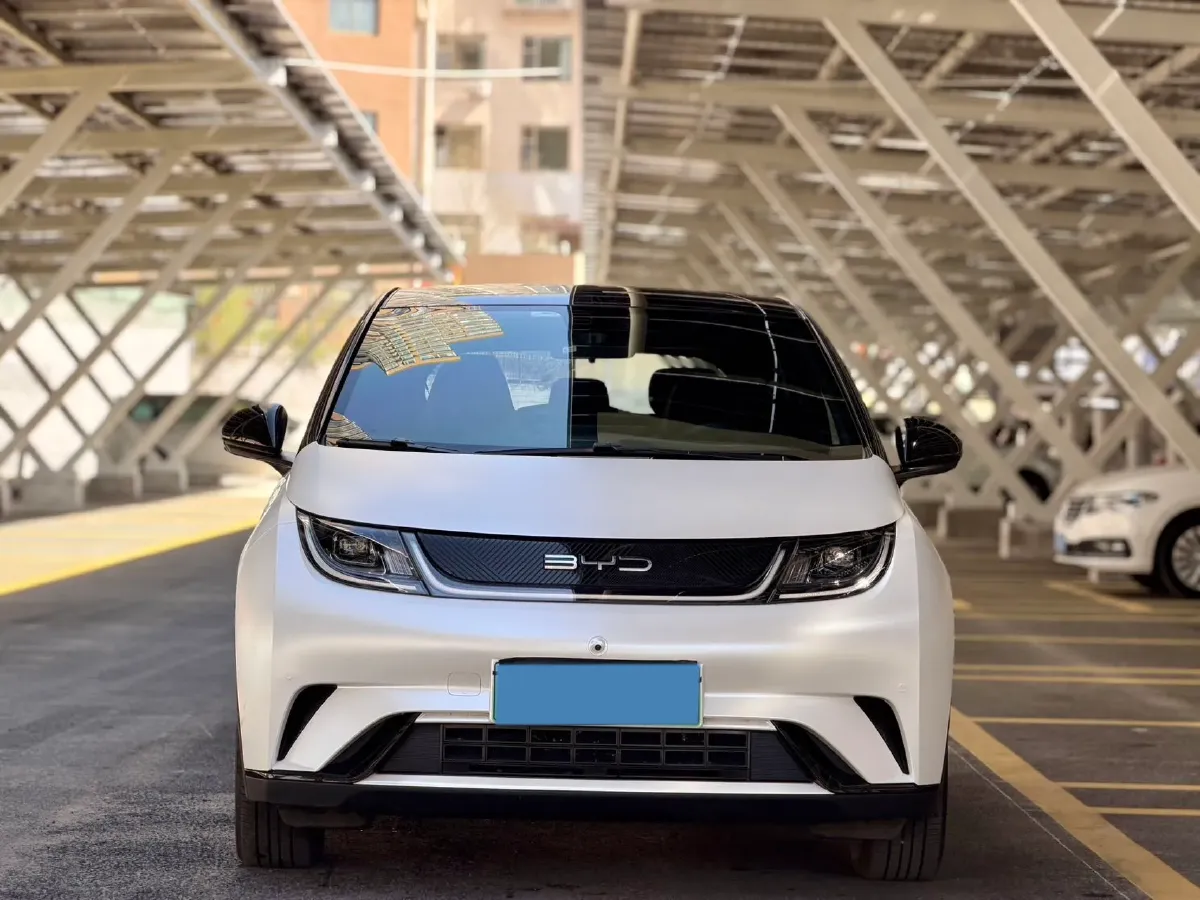 2023 BYD Dolphin BEV 44.928KWH,autocango,china used car exporter,china ev exporter,chinese used car exporter,chinese used ev exporter