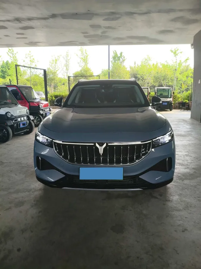 2021 Voyah FREE Range Extended 109HP REEV 33KWH,autocango,china used car exporter,china ev exporter,chinese used car exporter,chinese used ev exporter