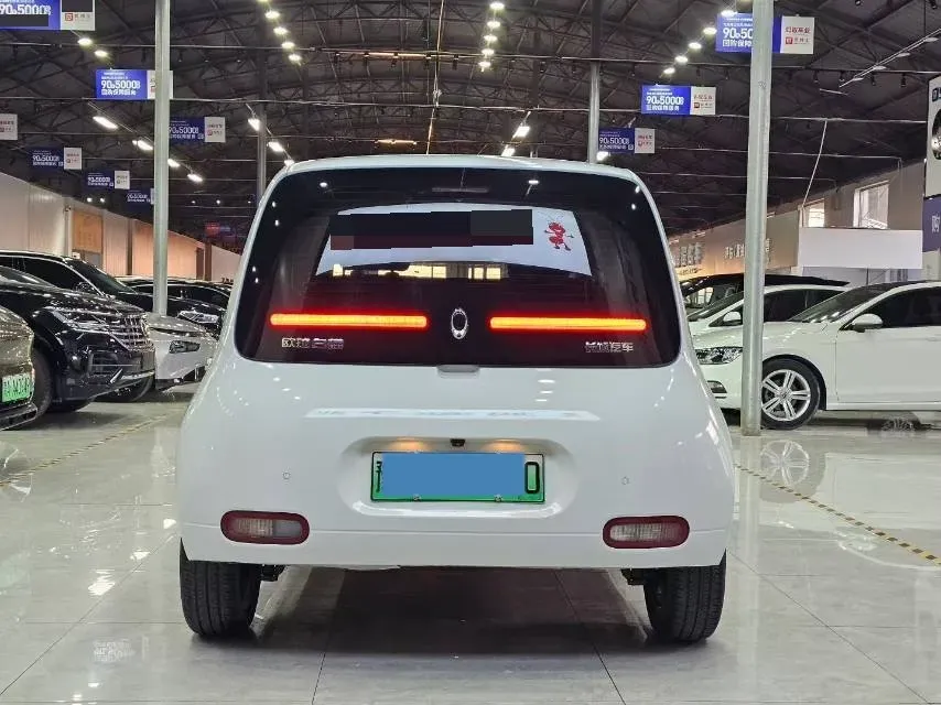 2020 Ora WhiteCat BEV 29.4KWH,autocango,china used car exporter,china ev exporter,chinese used car exporter,chinese used ev exporter