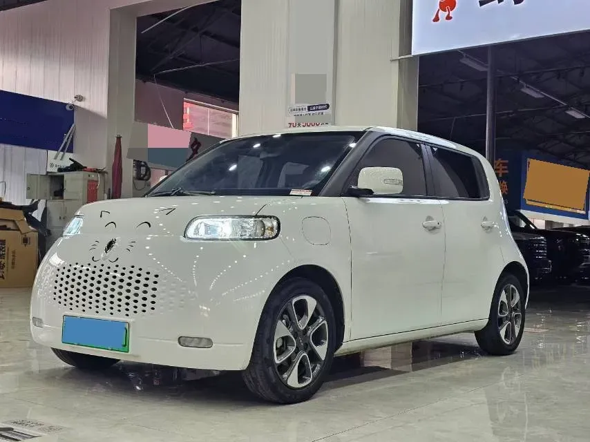 2020 Ora WhiteCat BEV 29.4KWH,autocango,china used car exporter,china ev exporter,chinese used car exporter,chinese used ev exporter
