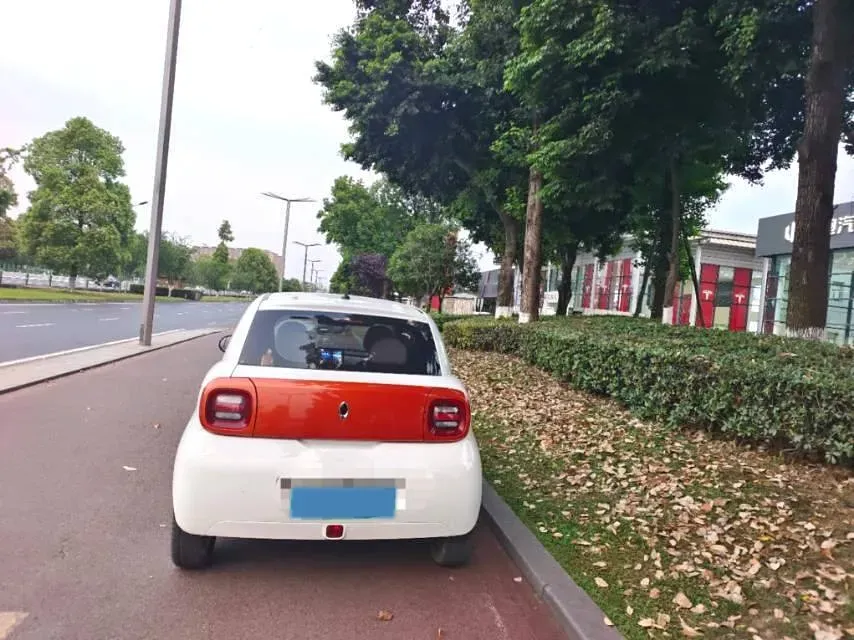 2019 Ora BlackCat BEV 33KWH,autocango,china used car exporter,china ev exporter,chinese used car exporter,chinese used ev exporter