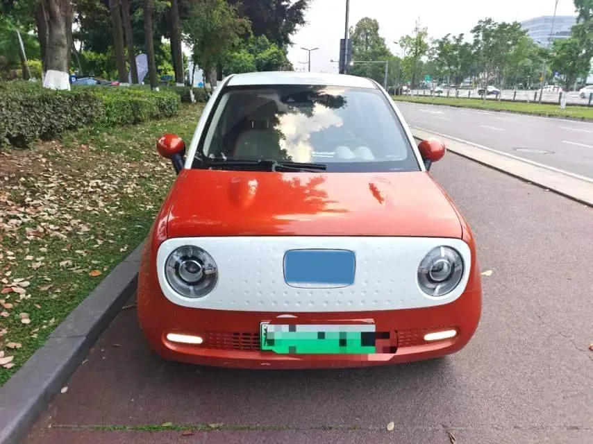 2019 Ora BlackCat BEV 33KWH,autocango,china used car exporter,china ev exporter,chinese used car exporter,chinese used ev exporter