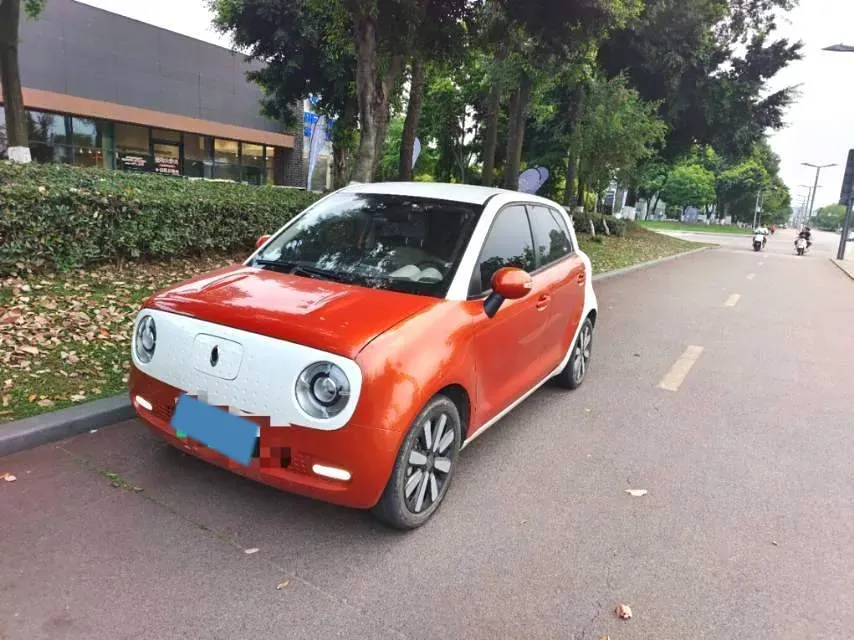 2019 Ora BlackCat BEV 33KWH,autocango,china used car exporter,china ev exporter,chinese used car exporter,chinese used ev exporter