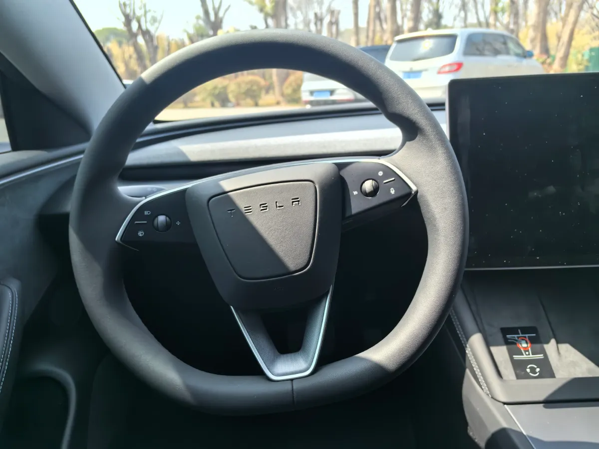 2025 Tesla Model 3 BEV,autocango,china used car exporter,china ev exporter,chinese used car exporter,chinese used ev exporter