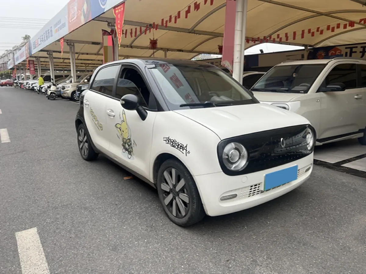 2019 Ora BlackCat BEV 33KWH,autocango,china used car exporter,china ev exporter,chinese used car exporter,chinese used ev exporter