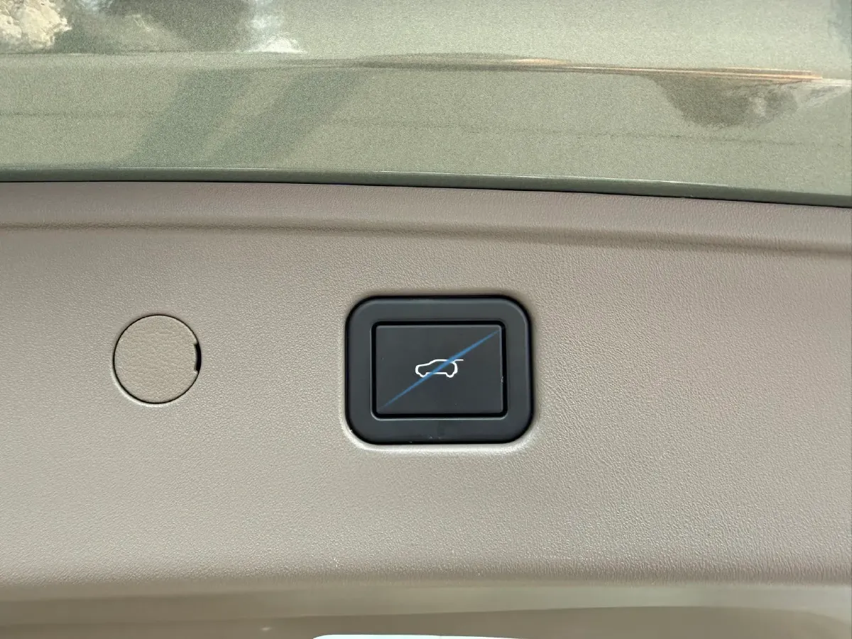 2025 WEY BlueMountain 1.5T 170HP L4 4DHT PHEV 52.3KWH,autocango,china used car exporter,china ev exporter,chinese used car exporter,chinese used ev exporter