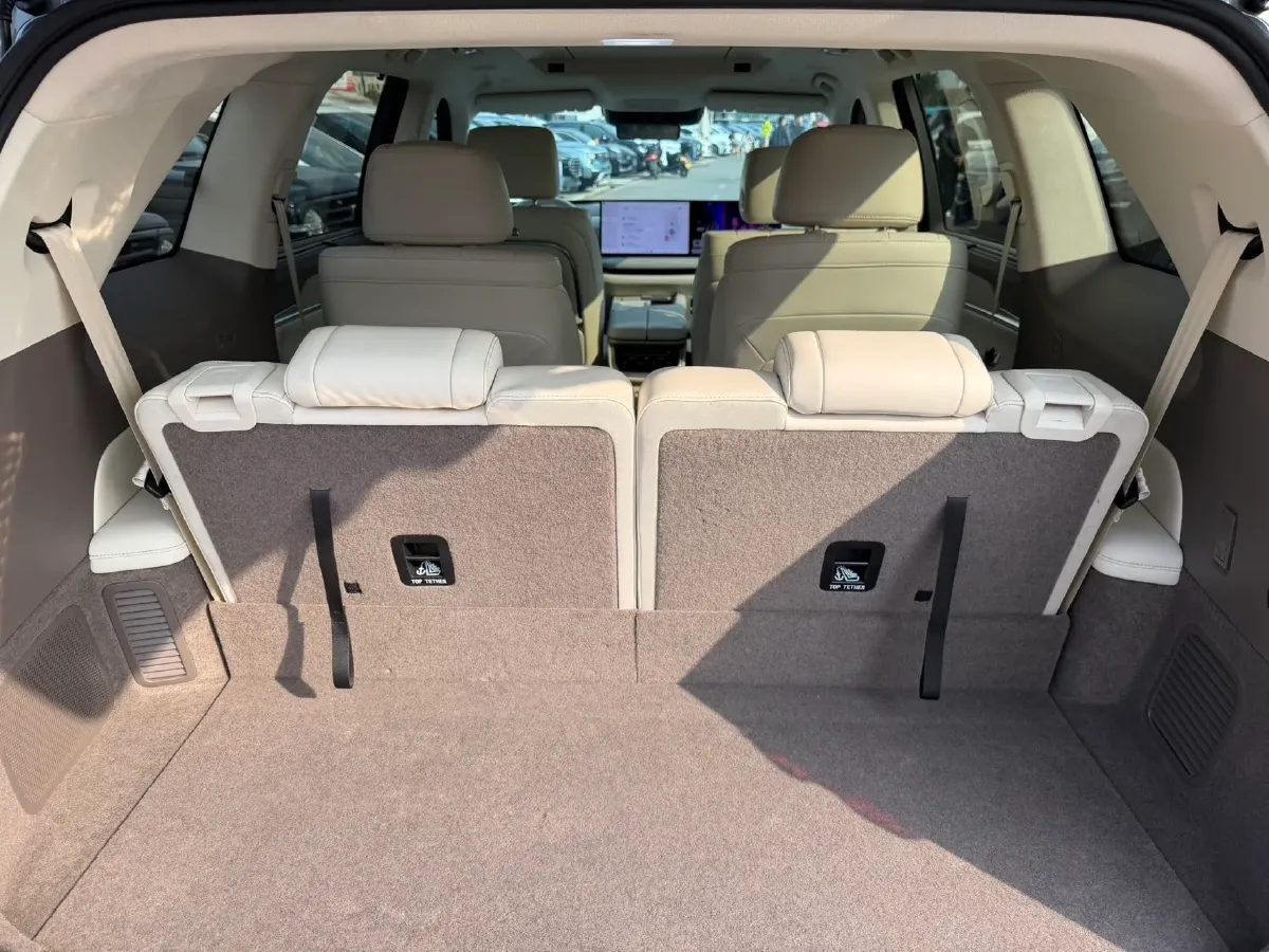 2025 WEY BlueMountain 1.5T 170HP L4 4DHT PHEV 52.3KWH,autocango,china used car exporter,china ev exporter,chinese used car exporter,chinese used ev exporter