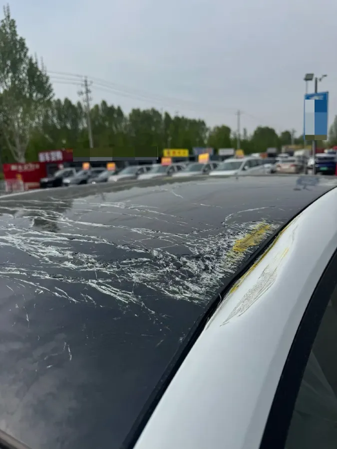 2026 Nissan Sylphy 1.6L 135HP L4 CVT,autocango,china used car exporter,china ev exporter,chinese used car exporter,chinese used ev exporter