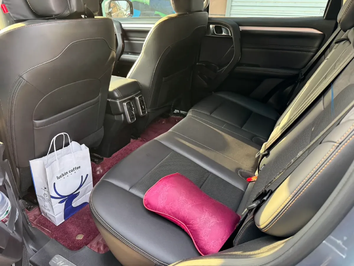 2021 Haval Dargo 2.0T 211HP L4 7DCT,autocango,china used car exporter,china ev exporter,chinese used car exporter,chinese used ev exporter