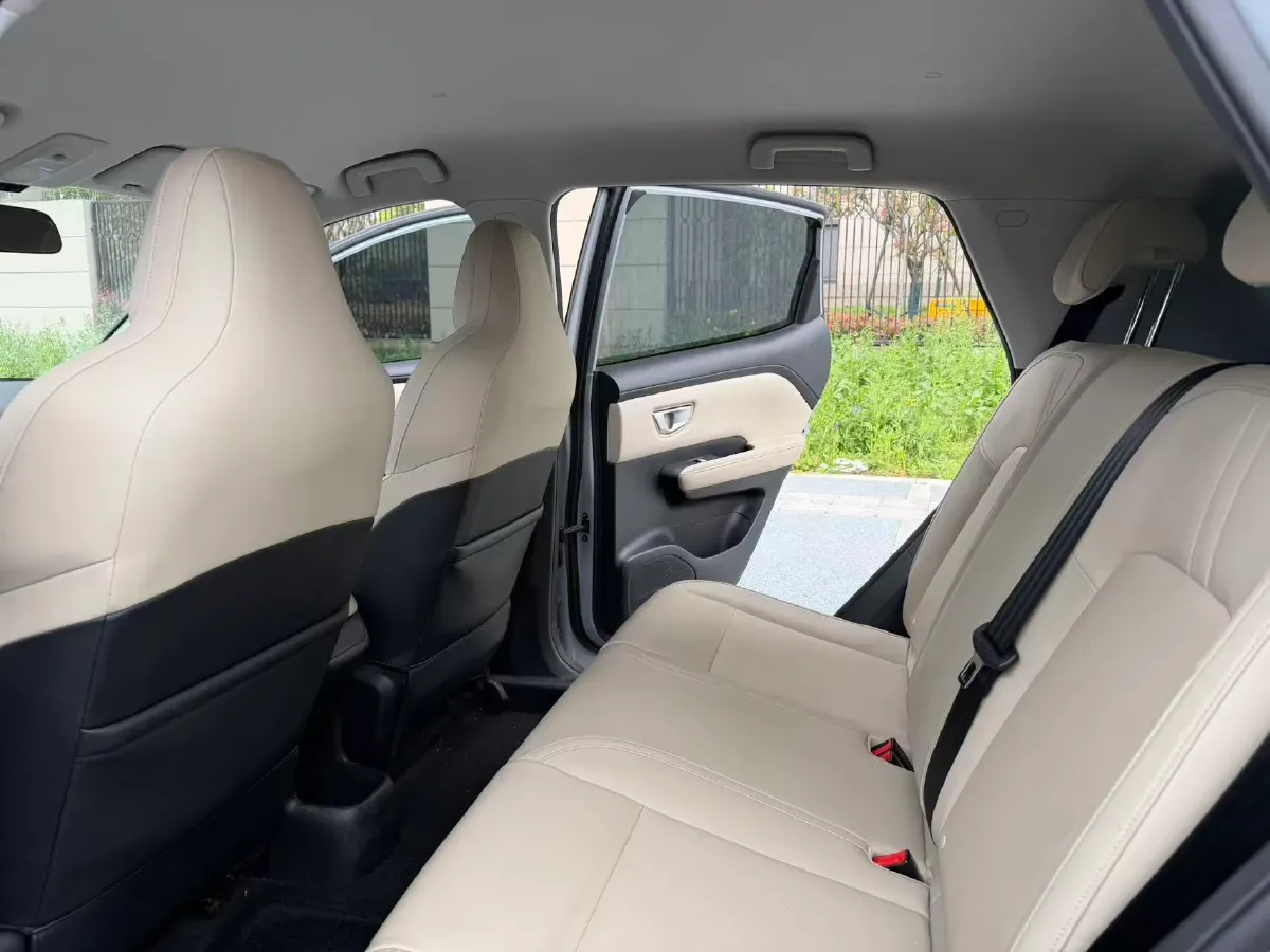 2024 WuLing BinGuoPLUS BEV 31.9KWH,autocango,china used car exporter,china ev exporter,chinese used car exporter,chinese used ev exporter