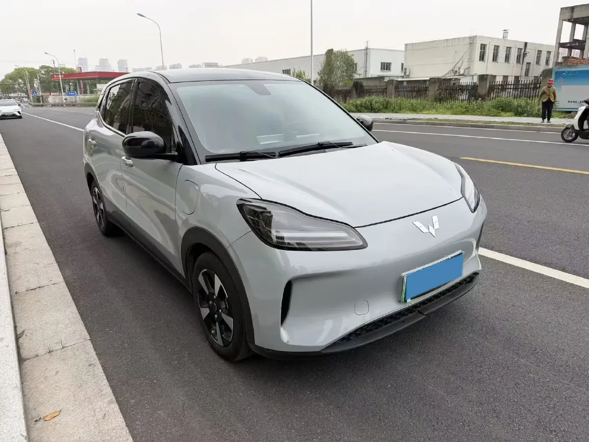 2024 WuLing BinGuoPLUS BEV 31.9KWH,autocango,china used car exporter,china ev exporter,chinese used car exporter,chinese used ev exporter