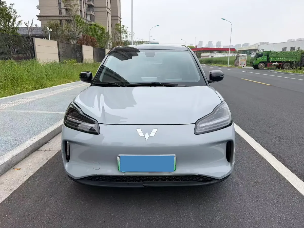 2024 WuLing BinGuoPLUS BEV 31.9KWH,autocango,china used car exporter,china ev exporter,chinese used car exporter,chinese used ev exporter