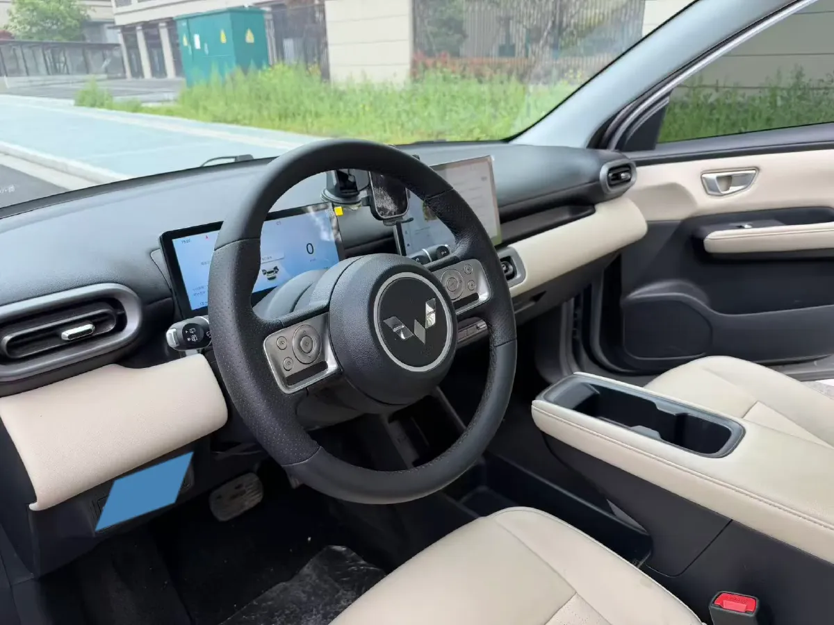 2024 WuLing BinGuoPLUS BEV 31.9KWH,autocango,china used car exporter,china ev exporter,chinese used car exporter,chinese used ev exporter