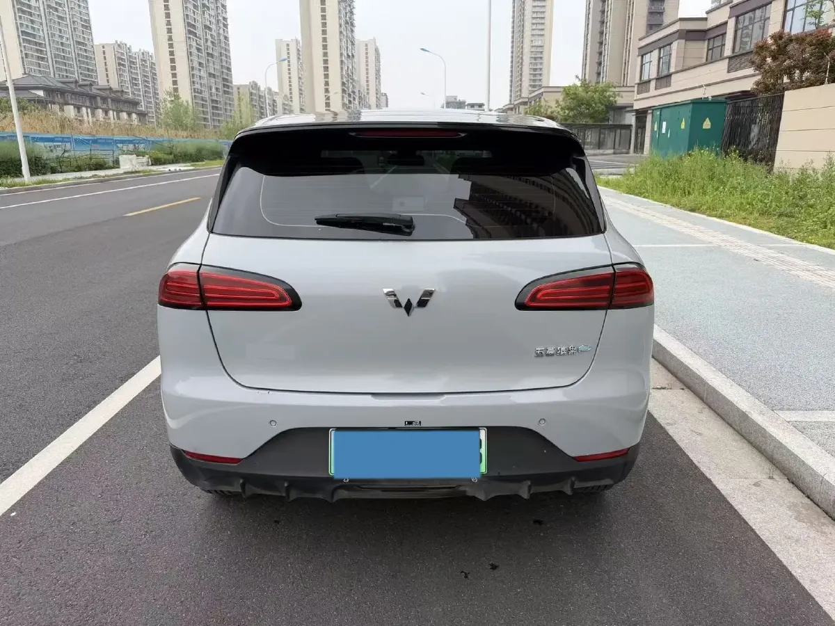 2024 WuLing BinGuoPLUS BEV 31.9KWH,autocango,china used car exporter,china ev exporter,chinese used car exporter,chinese used ev exporter