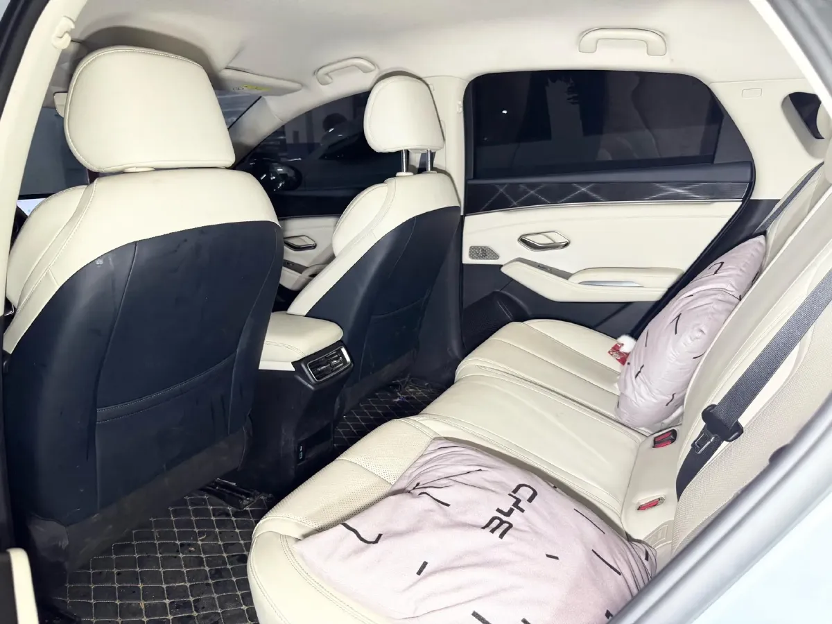 2024 BYD QinL 1.5L 101HP L4 E-CVT PHEV 10.08KWH,autocango,china used car exporter,china ev exporter,chinese used car exporter,chinese used ev exporter