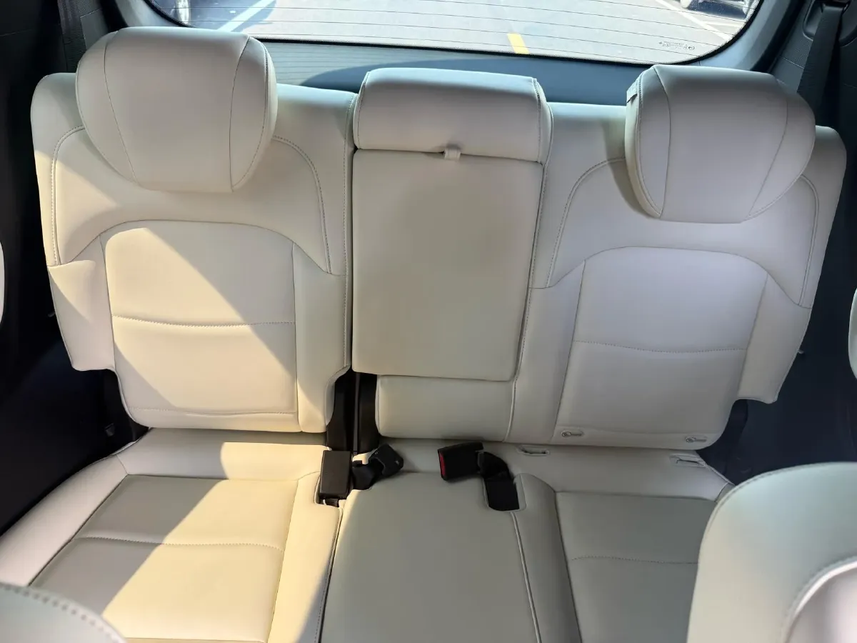 2023 GAC Trumpchi M8 2.0T 252HP L4 8AT,autocango,china used car exporter,china ev exporter,chinese used car exporter,chinese used ev exporter