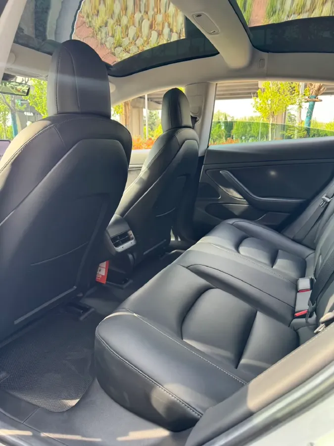 2020 Tesla Model 3 BEV 52KWH,autocango,china used car exporter,china ev exporter,chinese used car exporter,chinese used ev exporter