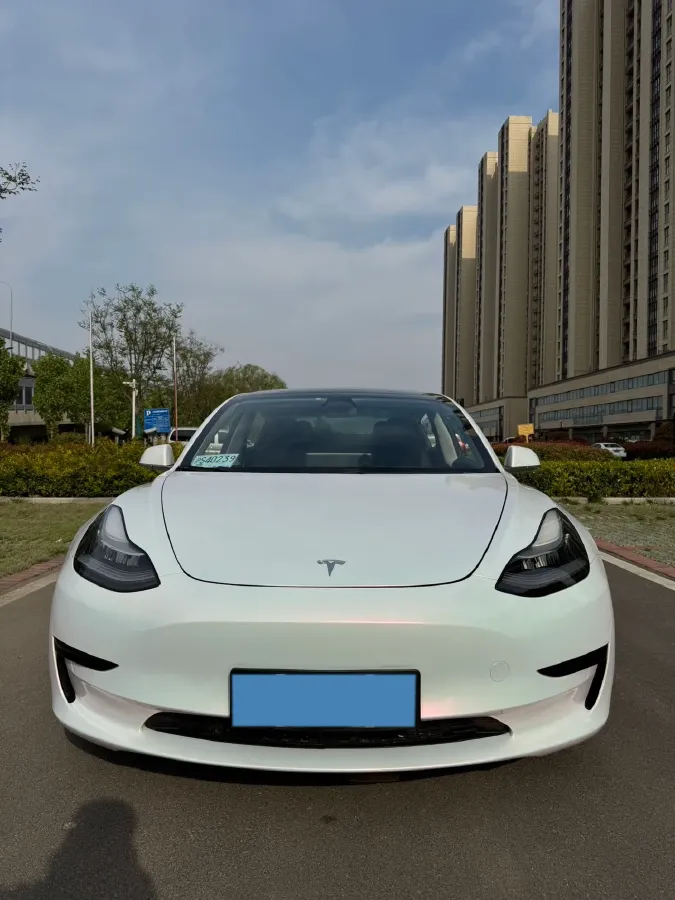2020 Tesla Model 3 BEV 52KWH,autocango,china used car exporter,china ev exporter,chinese used car exporter,chinese used ev exporter