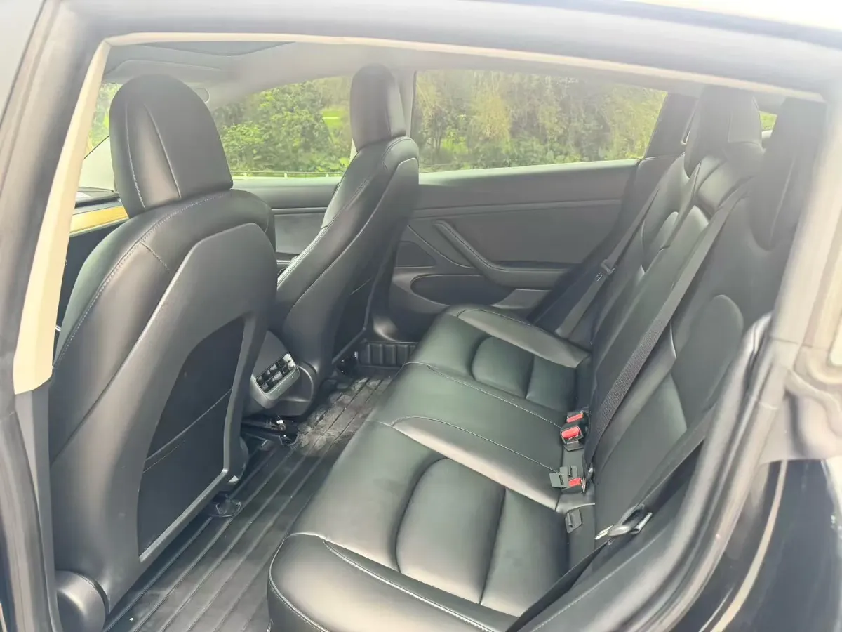 2020 Tesla Model 3 BEV 52KWH,autocango,china used car exporter,china ev exporter,chinese used car exporter,chinese used ev exporter