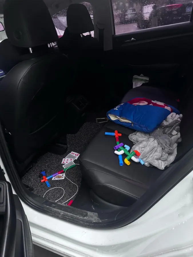 2019 Ford Focus 1.5T 184HP L3 8AT,autocango,china used car exporter,china ev exporter,chinese used car exporter,chinese used ev exporter